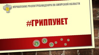 ГРИППУНЕТ презентация