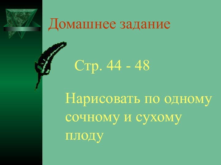 Домашнее заданиеСтр. 44 - 48Нарисовать по одному сочному и сухому плоду