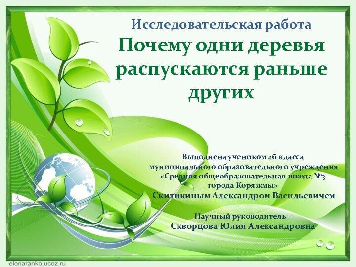 Исследовательская работаПочему одни деревья распускаются раньше другихВыполнена учеником 2б класса муниципального образовательного