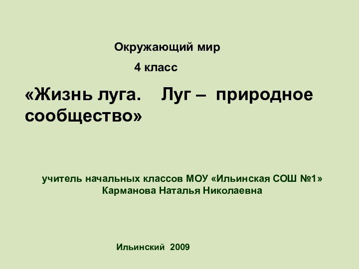 Ильинский 2009учитель начальных классов МОУ «Ильинская СОШ №1»Карманова Наталья Николаевна