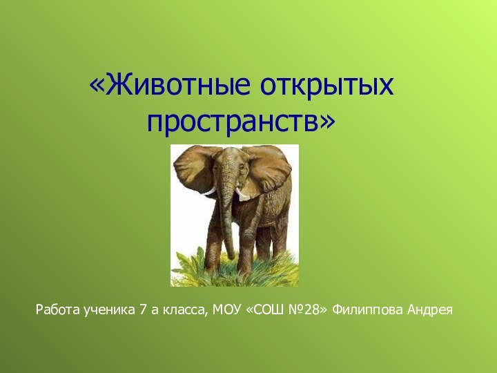 «Животные открытых пространств» Работа ученика 7 а класса, МОУ «СОШ №28» Филиппова Андрея