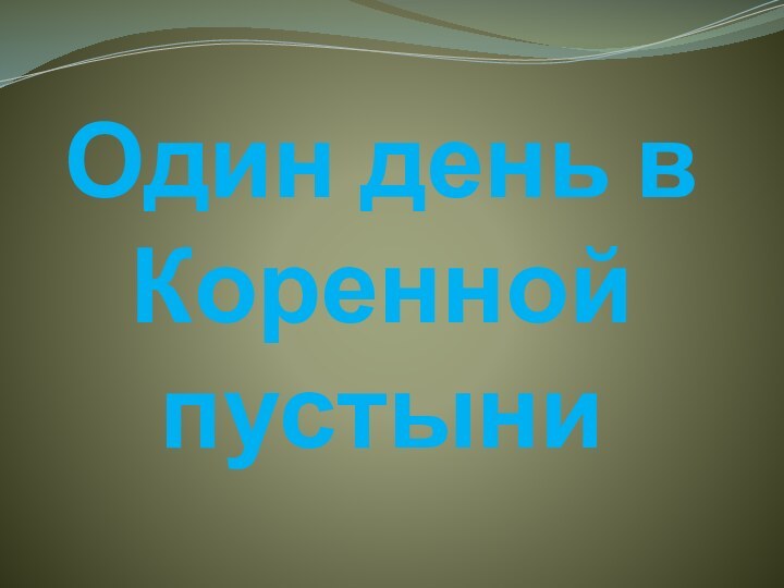 Один день в Коренной пустыни