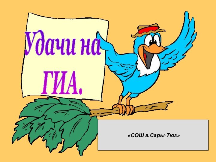 Удачи на ГИА. «СОШ а.Сары-Тюз»