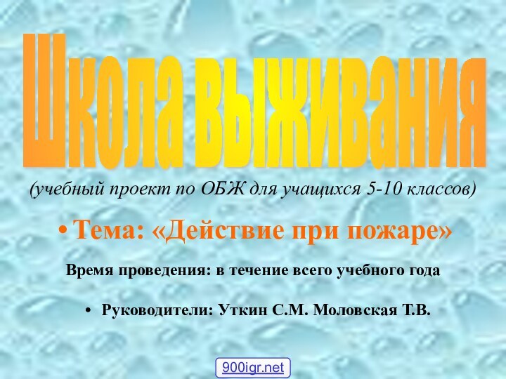 (учебный проект по ОБЖ для учащихся 5-10 классов)Тема: «Действие при пожаре»Школа выживания