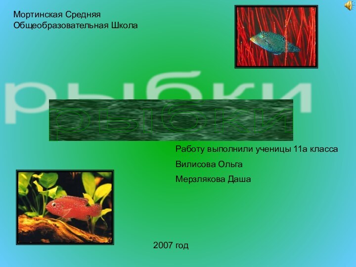 рыбки Мортинская Средняя Общеобразовательная Школа2007 годРаботу выполнили ученицы 11а классаВилисова ОльгаМерзлякова Даша