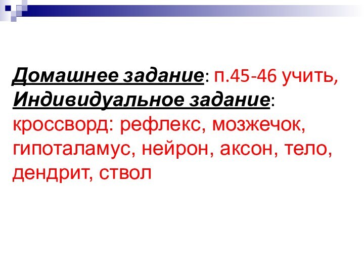 Домашнее задание: п.45-46 учить, Индивидуальное задание: кроссворд: рефлекс, мозжечок, гипоталамус, нейрон, аксон, тело, дендрит, ствол