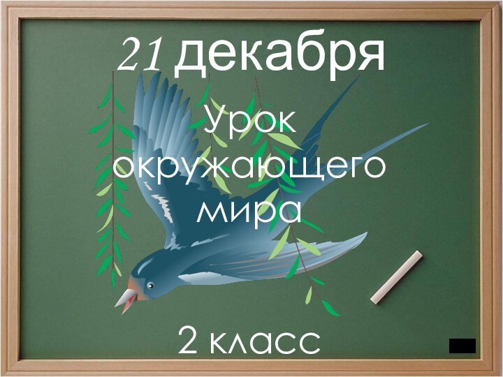 21 декабря2 классУрок окружающего мира