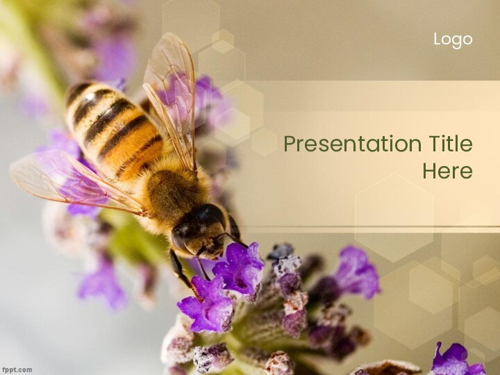 Presentation Title  HereLogo