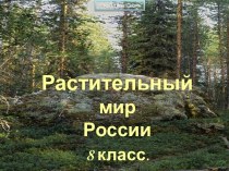 Растительный мир России