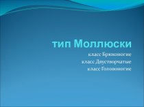 тип Моллюски