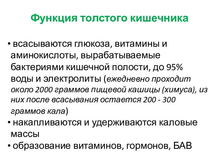 Функция толстого кишечника всасываются глюкоза, витамины и аминокислоты, вырабатываемые бактериями кишечной полости,