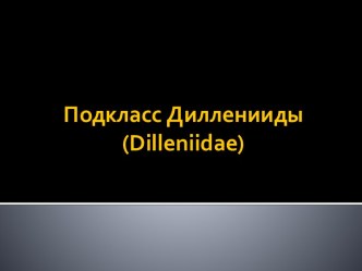 Подкласс Дилленииды (Dilleniidae)