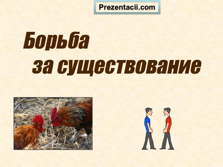 Борьба за существованиеPrezentacii.com