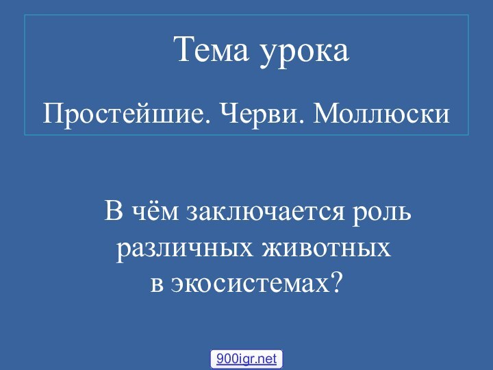 Простейшие. Черви. Моллюски Тема урока      В