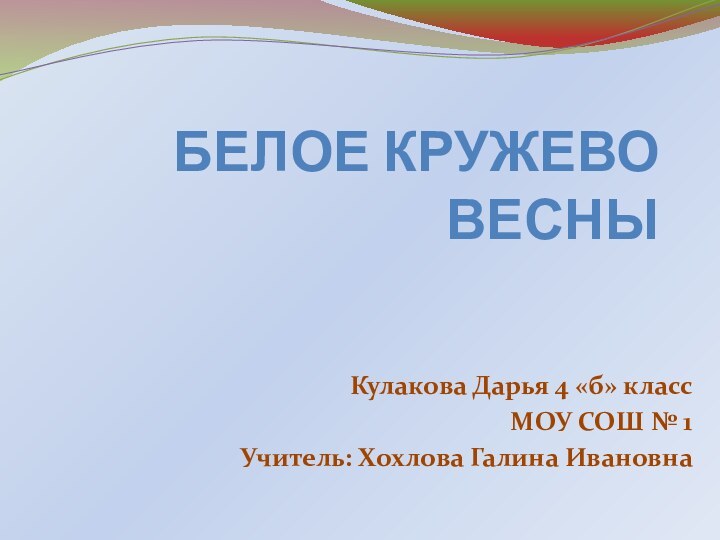 БЕЛОЕ КРУЖЕВО ВЕСНЫКулакова Дарья 4 «б» классМОУ СОШ № 1Учитель: Хохлова Галина Ивановна