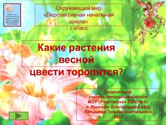 Интерактивный тренажер Какие растения весной цвести торопятся?