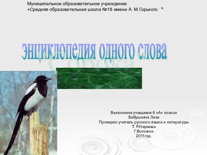 Выполнила учащаяся 6 «А» классаБабушкина ЛизаПроверил учитель русского языка и литературыТ. Р.НаумоваГ.Воткинск2011год.Муниципальное