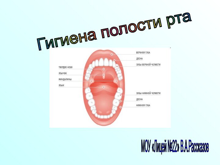 Гигиена полости рта МОУ «Лицей №22» В.А.Рассказов