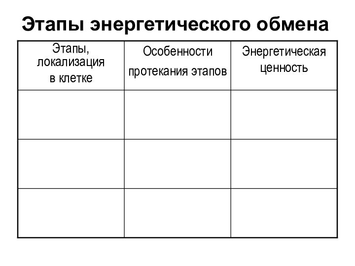 Этапы энергетического обмена