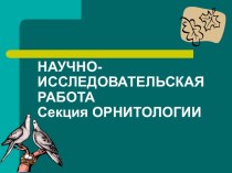 Научно-исследовательская работа Секция Орнитологии