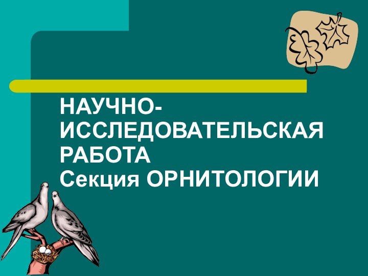 НАУЧНО-ИССЛЕДОВАТЕЛЬСКАЯ РАБОТА Секция ОРНИТОЛОГИИ