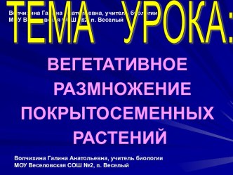 Вегетативное размножение покрытосеменных растений 6 класс