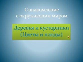 деревья и кустарники