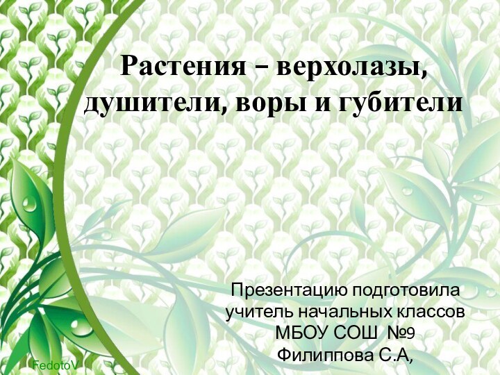 Растения – верхолазы, душители, воры и губителиПрезентацию подготовилаучитель начальных классовМБОУ СОШ №9Филиппова С.А,