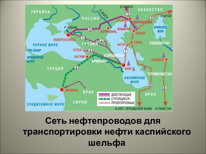 Сеть нефтепроводов для транспортировки нефти каспийского шельфа