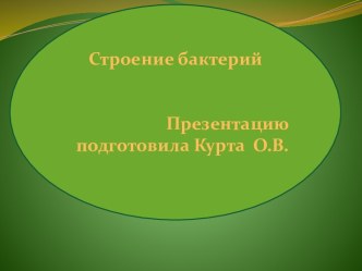 Жизнь под микроскопом. Строение бактерий.