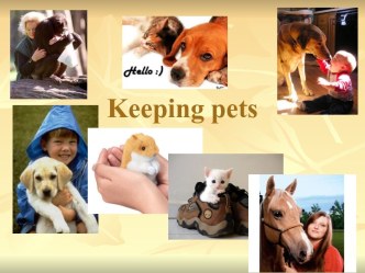 Keeping pets