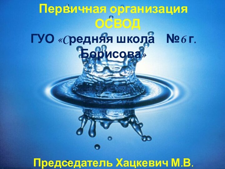 Первичная организация   ОСВОД  ГУО «Cредняя школа  №6 г.