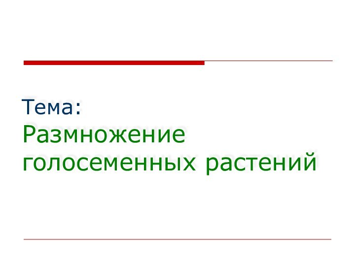 Тема:  Размножение голосеменных растений