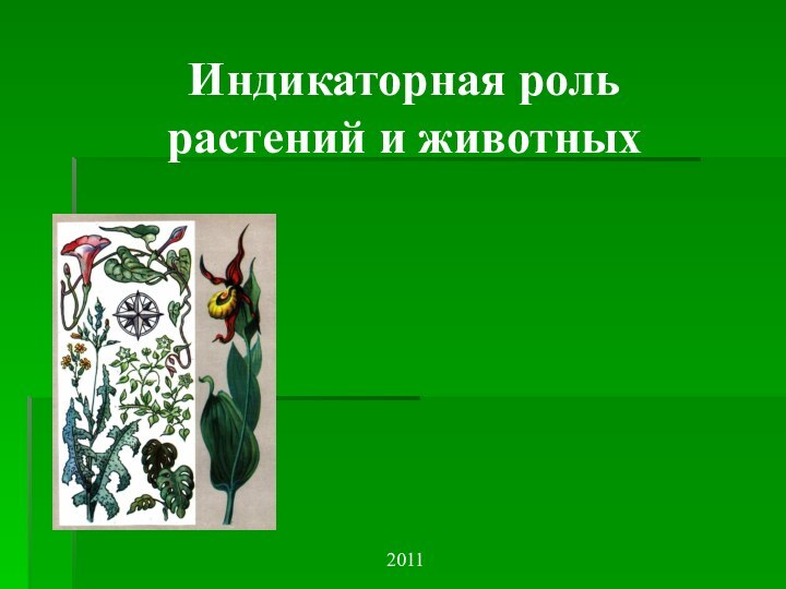 Индикаторная роль растений и животных2011