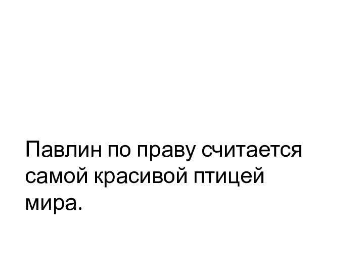 Павлин по праву считается самой красивой птицей мира.