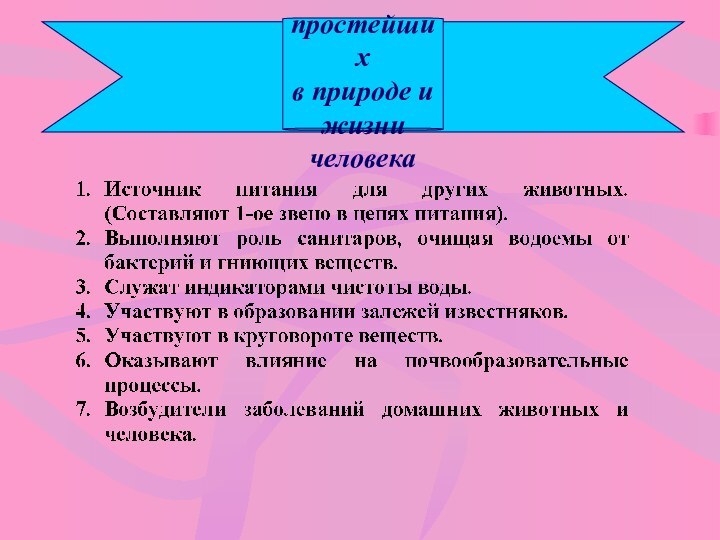 Значение простейших в природе и жизни человека