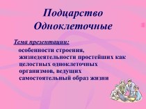 Подцарство Одноклеточные