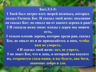 эволюция или сотворение 3