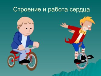 Строение и работа сердца