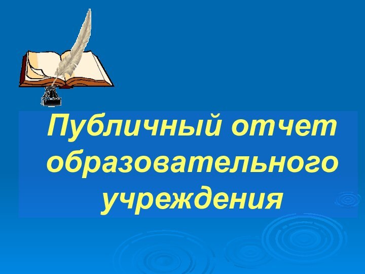 Публичный отчет образовательного учреждения