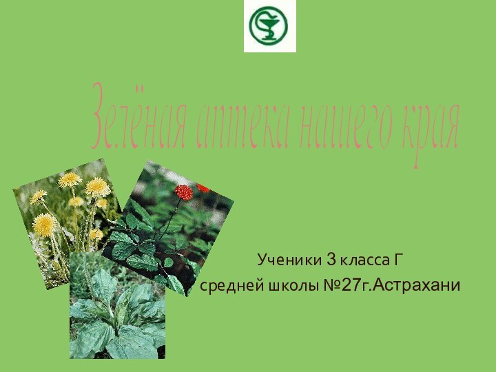 Зелёная аптека нашего края Ученики 3 класса Гсредней школы №27г.Астрахани