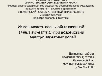 Изменчивость сосны обыкновенной при воздействии электромагнитных полей