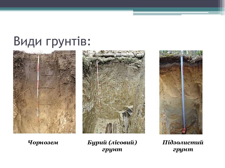 Види грунтів:ЧорноземБурий (лісовий) грунтПідзолистий грунт