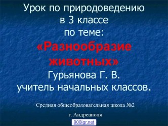 Разнообразие животных 3 класс