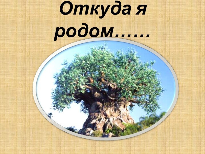 Откуда я родом……