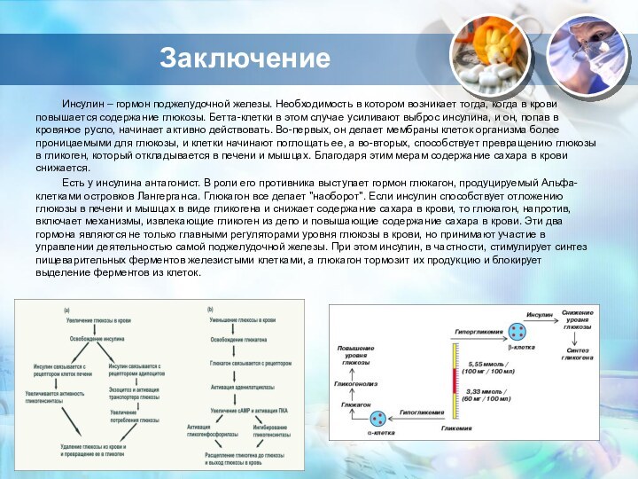 ЗаключениеИнсулин – гормон поджелудочной железы. Необходимость в котором возникает тогда, когда в