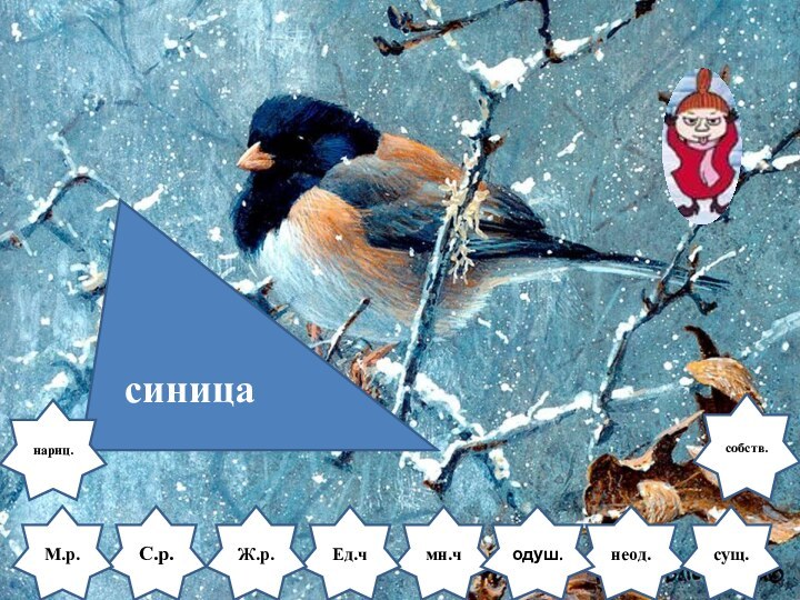 С.р.М.р.неод.мн.чсиницаодуш.сущ.Ед.чЖ.р.нариц.собств.