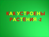 Как устроены растения -2