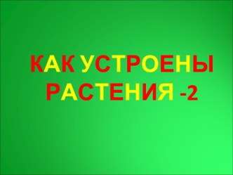 Как устроены растения -2