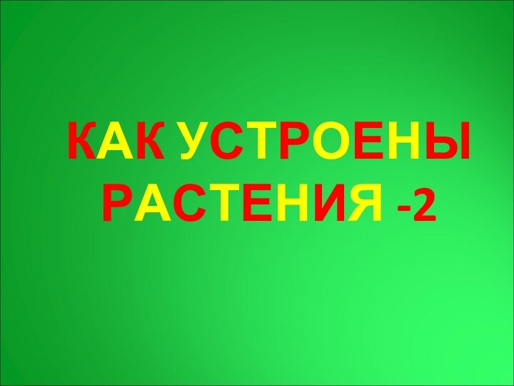 КАК УСТРОЕНЫ РАСТЕНИЯ -2